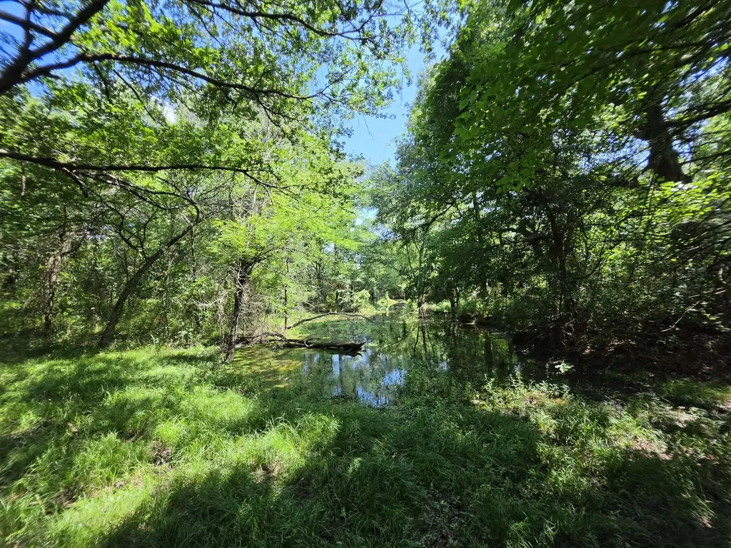 32.243 Acres S Hwy 121 Highway Bonham TX 75418