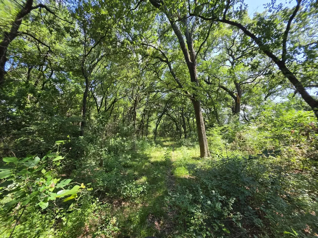32.243 Acres S Hwy 121 Highway Bonham TX 75418