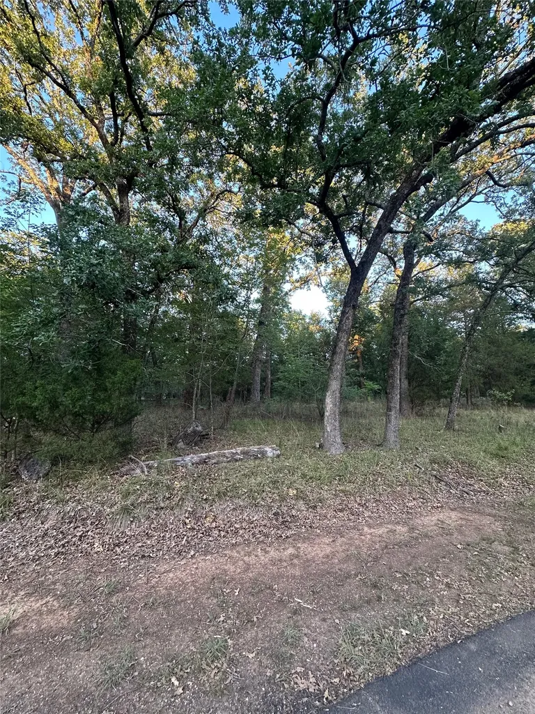 101 Cedar Oaks Drive Mabank TX 75156