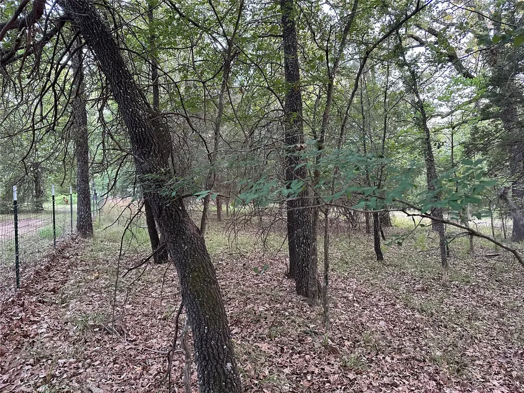 101 Cedar Oaks Drive Mabank TX 75156