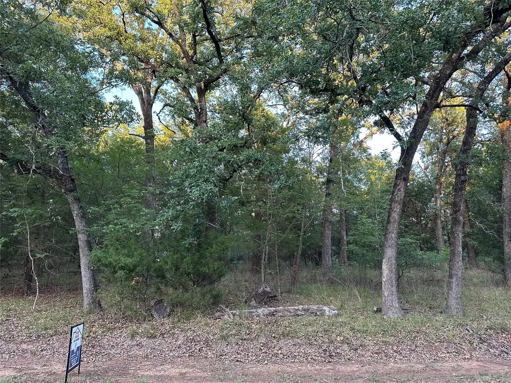 101 Cedar Oaks Drive Mabank TX 75156