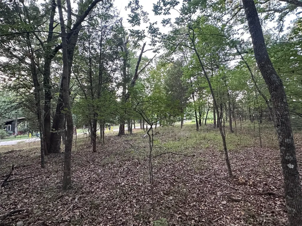 101 Cedar Oaks Drive Mabank TX 75156