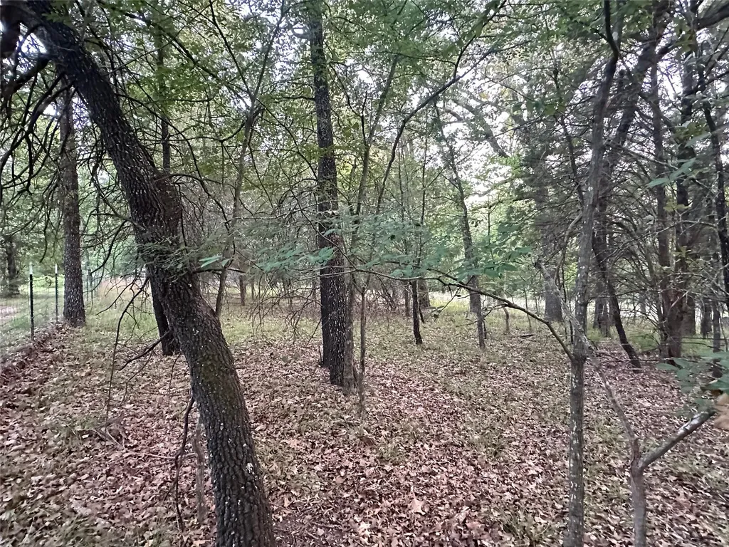 101 Cedar Oaks Drive Mabank TX 75156