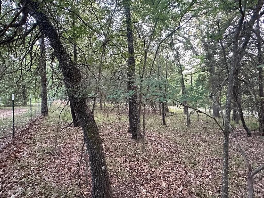 101 Cedar Oaks Drive Mabank TX 75156