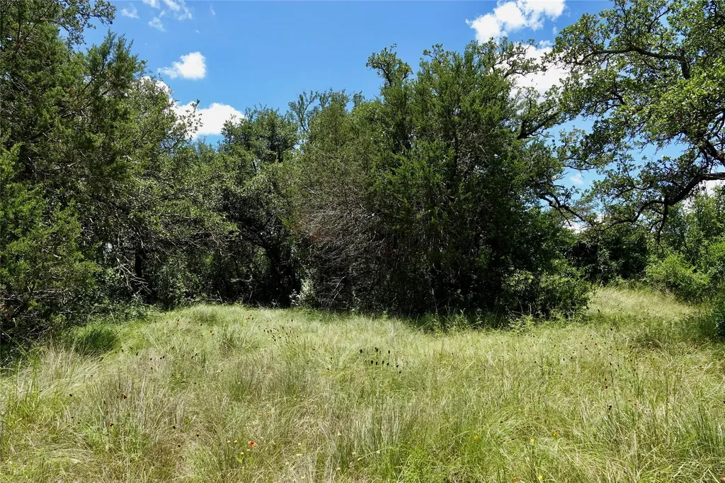 170 Cr 505 Goldthwaite TX 76844