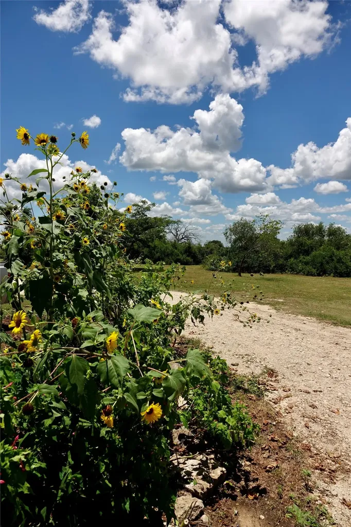 170 Cr 505 Goldthwaite TX 76844