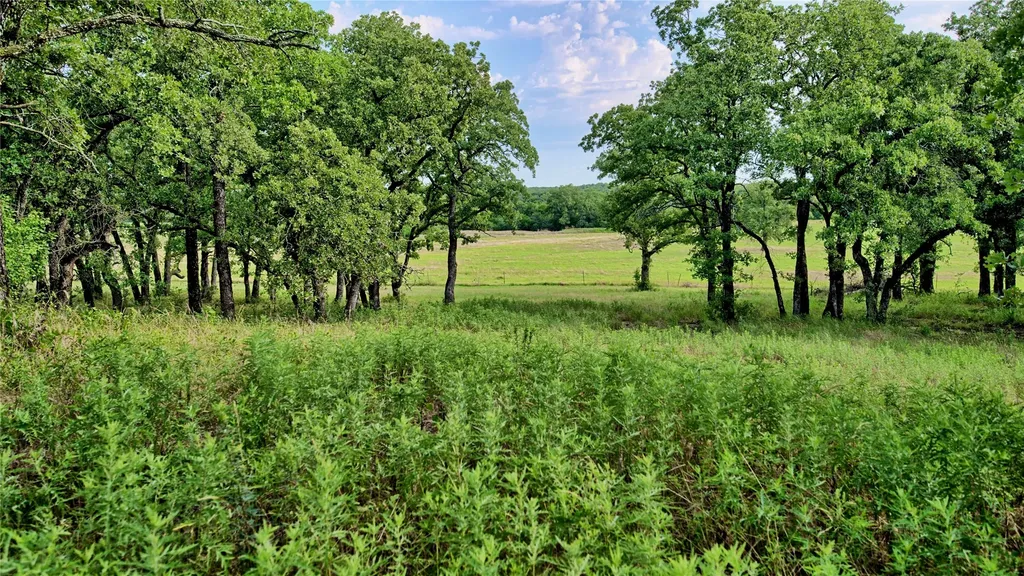 978 Longbranch Road Nocona TX 76255