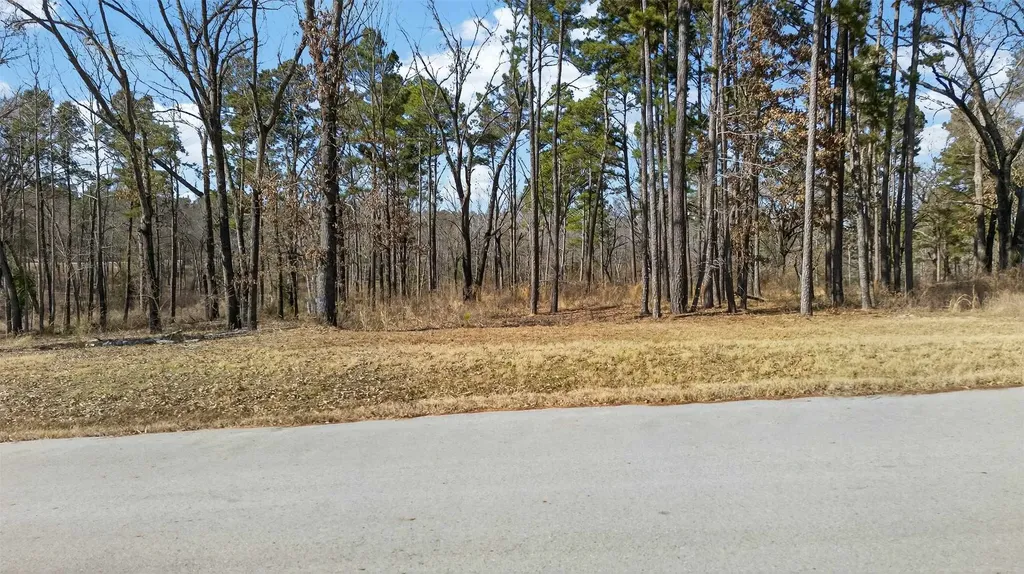 3200 Shadow Pine (LOT 47) Drive Larue TX 75770