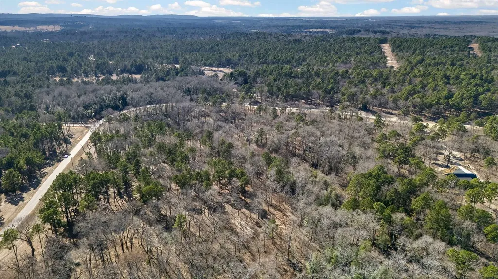 3200 Shadow Pine (LOT 47) Drive Larue TX 75770