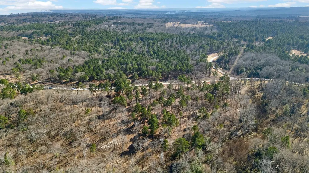 3200 Shadow Pine (LOT 47) Drive Larue TX 75770
