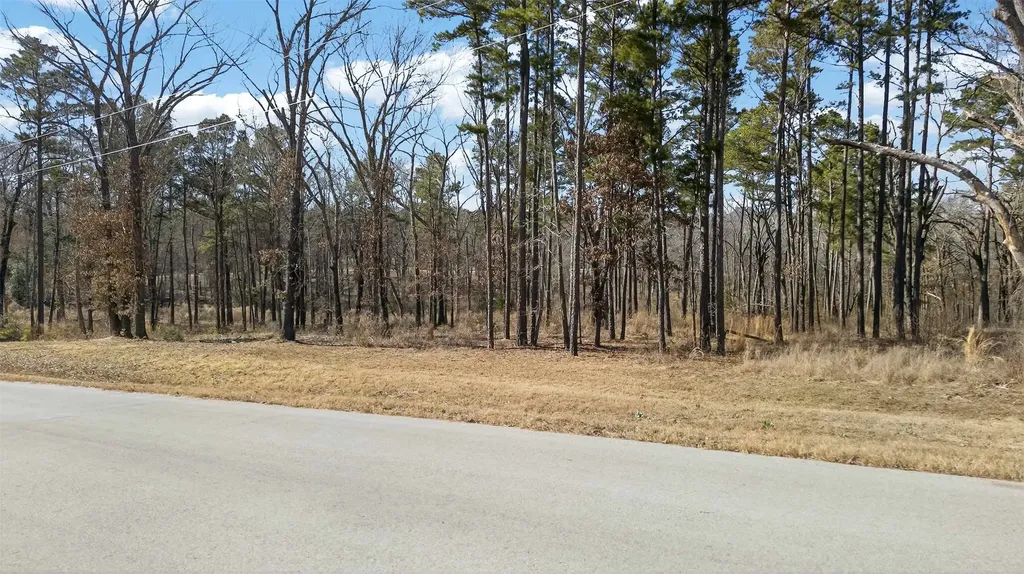 3200 Shadow Pine (LOT 47) Drive Larue TX 75770