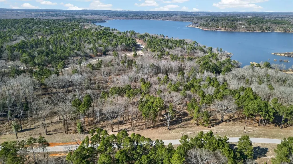 3200 Shadow Pine (LOT 47) Drive Larue TX 75770