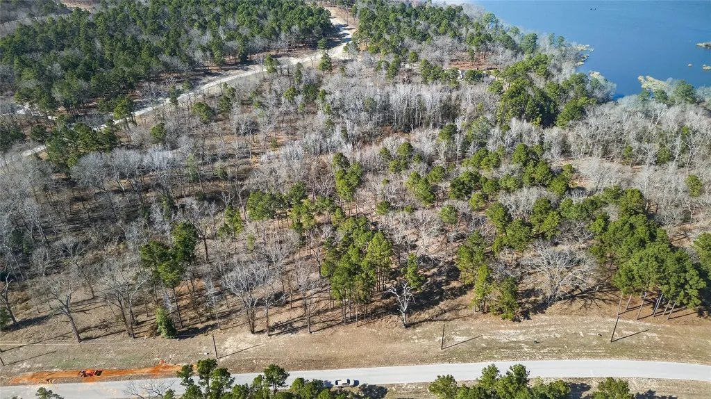 3200 Shadow Pine (LOT 47) Drive Larue TX 75770