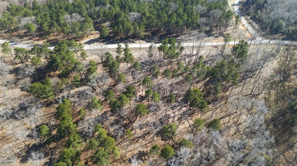 3200 Shadow Pine (LOT 47) Drive Larue TX 75770