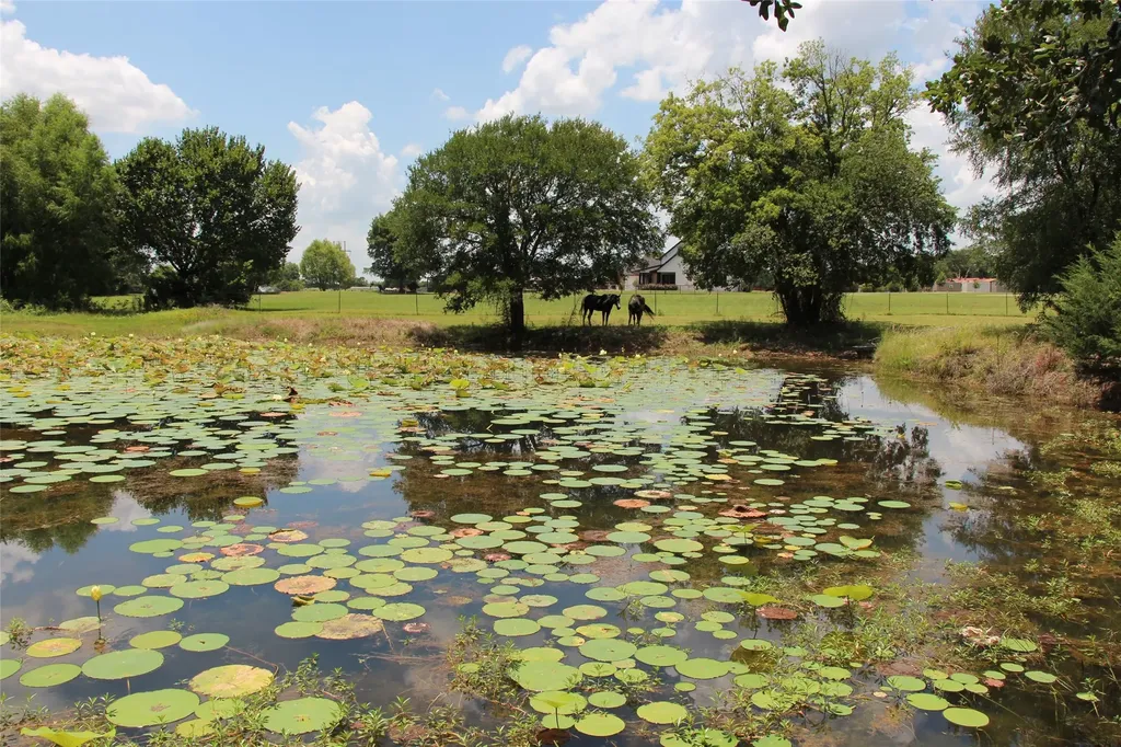 1199 County Road 1245 Savoy TX 75479