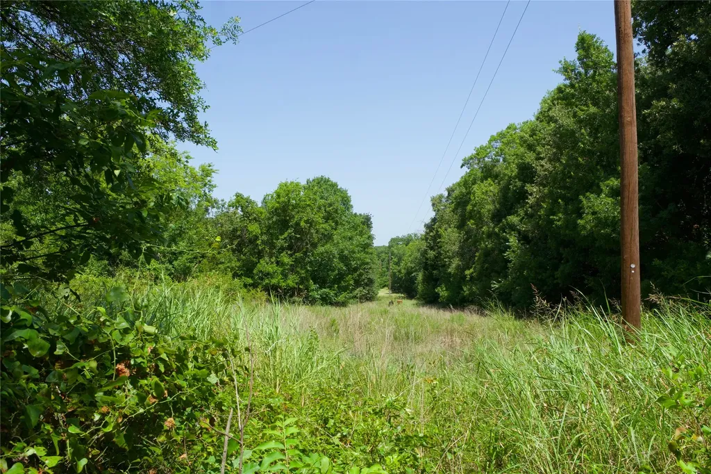 2492 Fm 922 Forestburg TX 76239