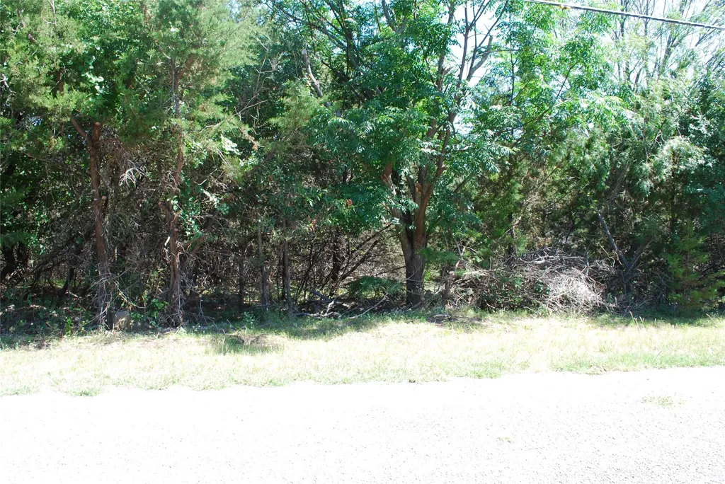 3045 Ash Court Whitney TX 76692