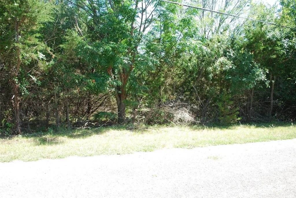 3045 Ash Court Whitney TX 76692