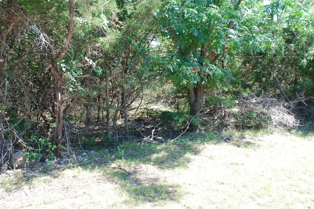 3045 Ash Court Whitney TX 76692
