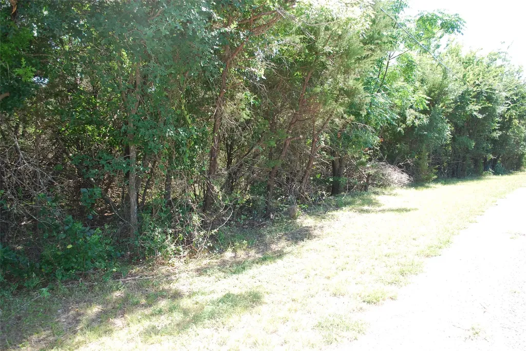 3045 Ash Court Whitney TX 76692
