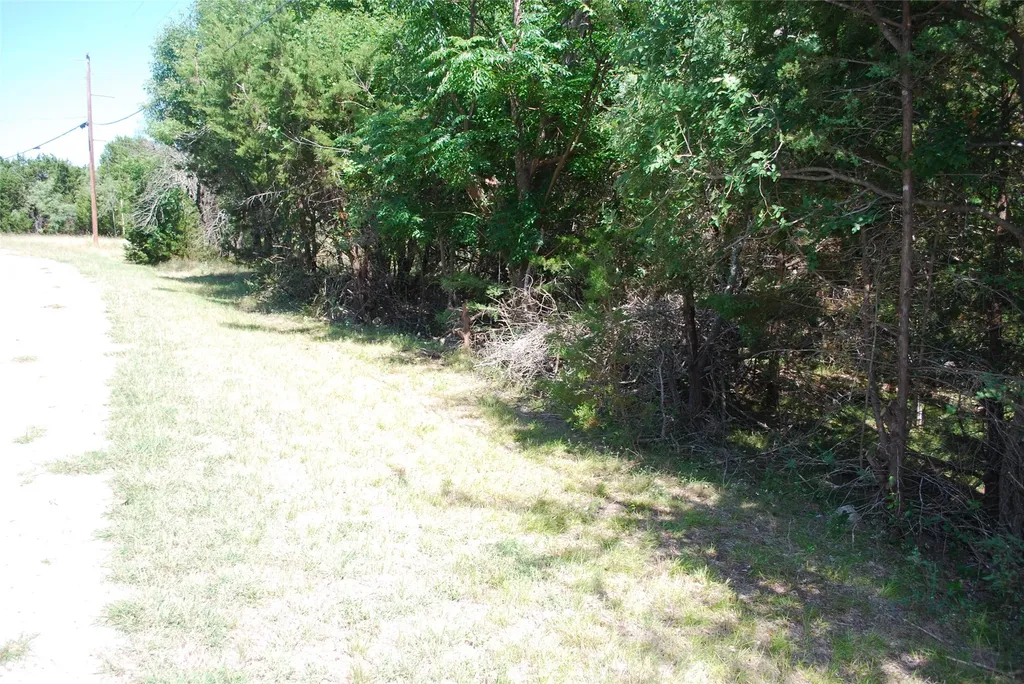 3045 Ash Court Whitney TX 76692