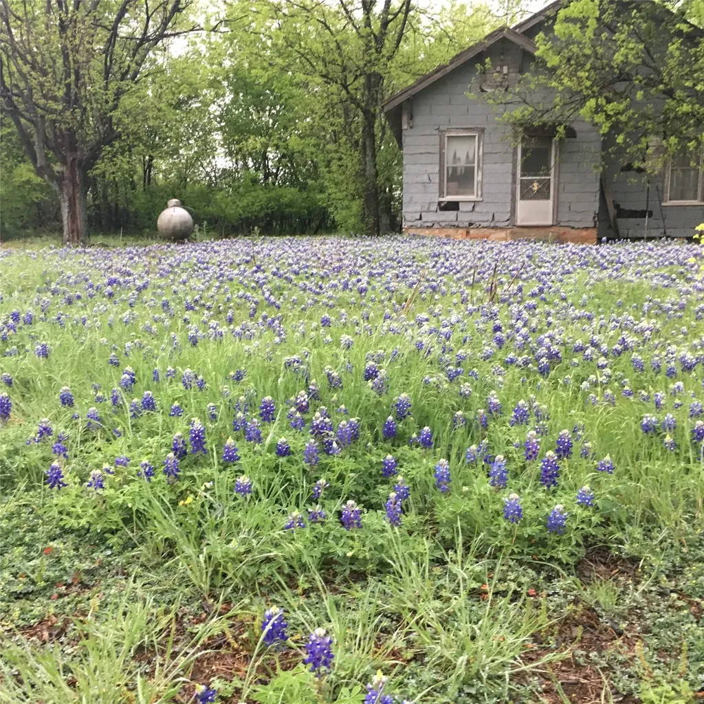 1054 Cr 3415 Clifton TX 76634