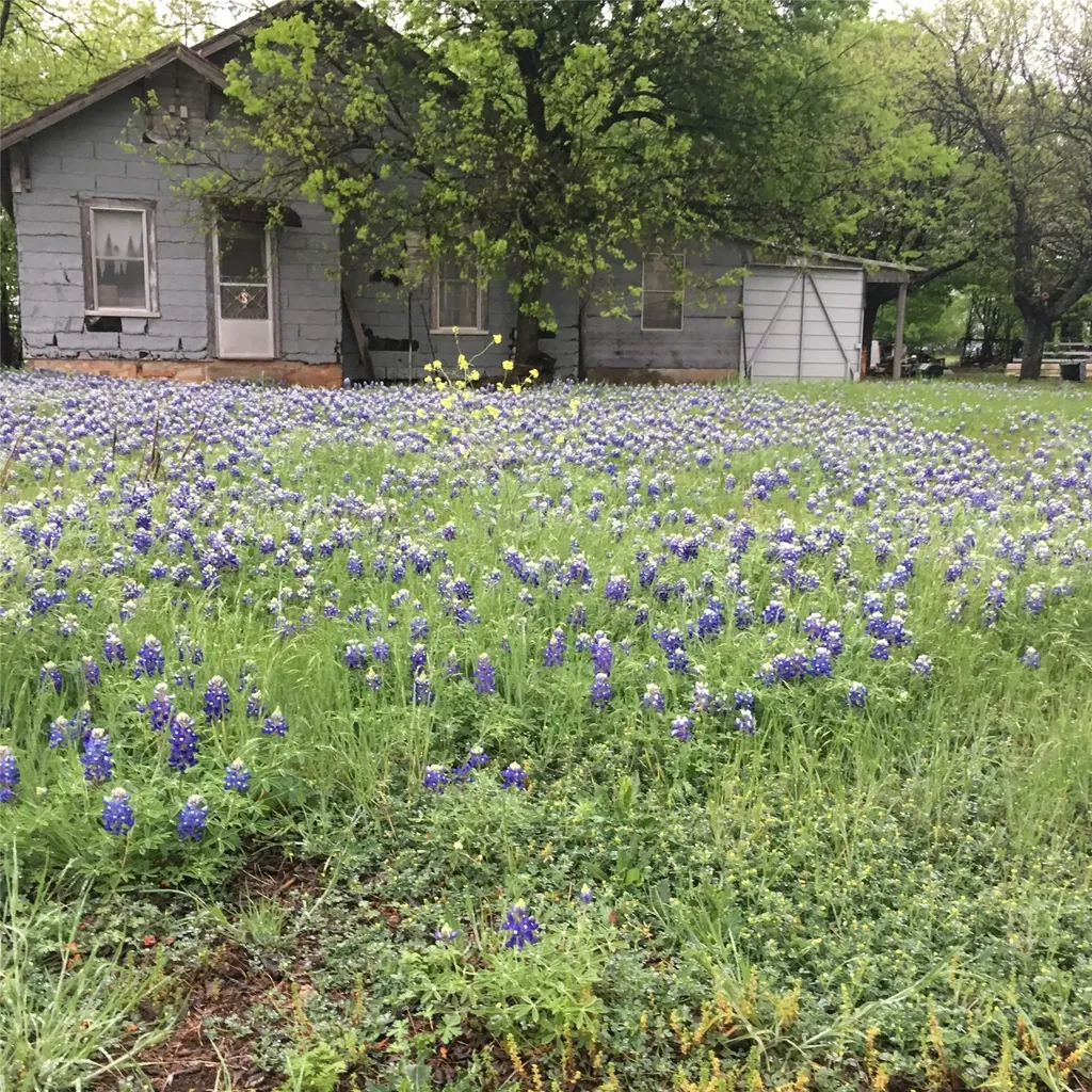 1054 Cr 3415 Clifton TX 76634