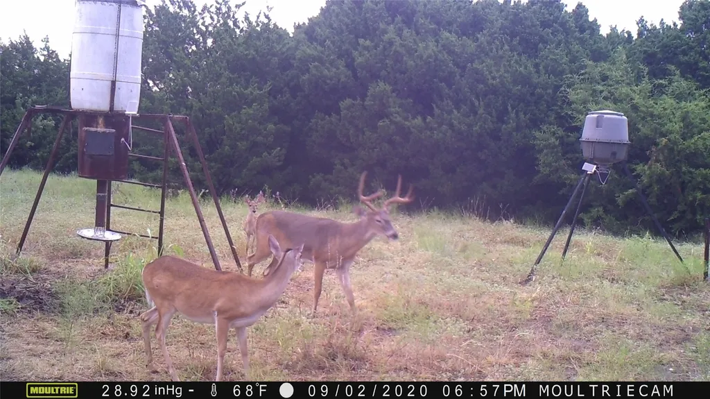 1054 Cr 3415 Clifton TX 76634