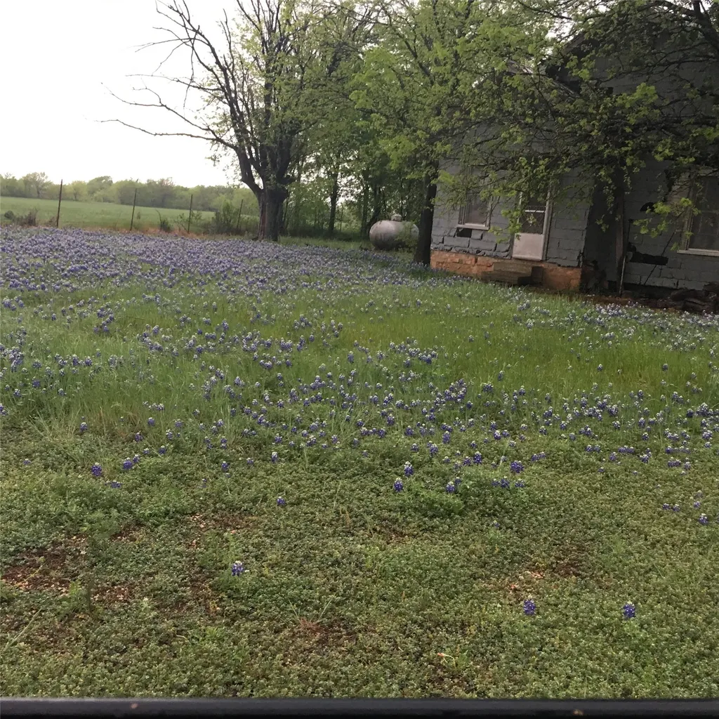 1054 Cr 3415 Clifton TX 76634