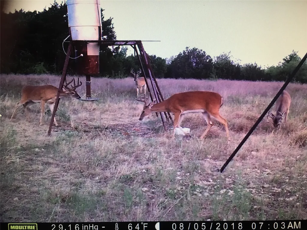 1054 Cr 3415 Clifton TX 76634