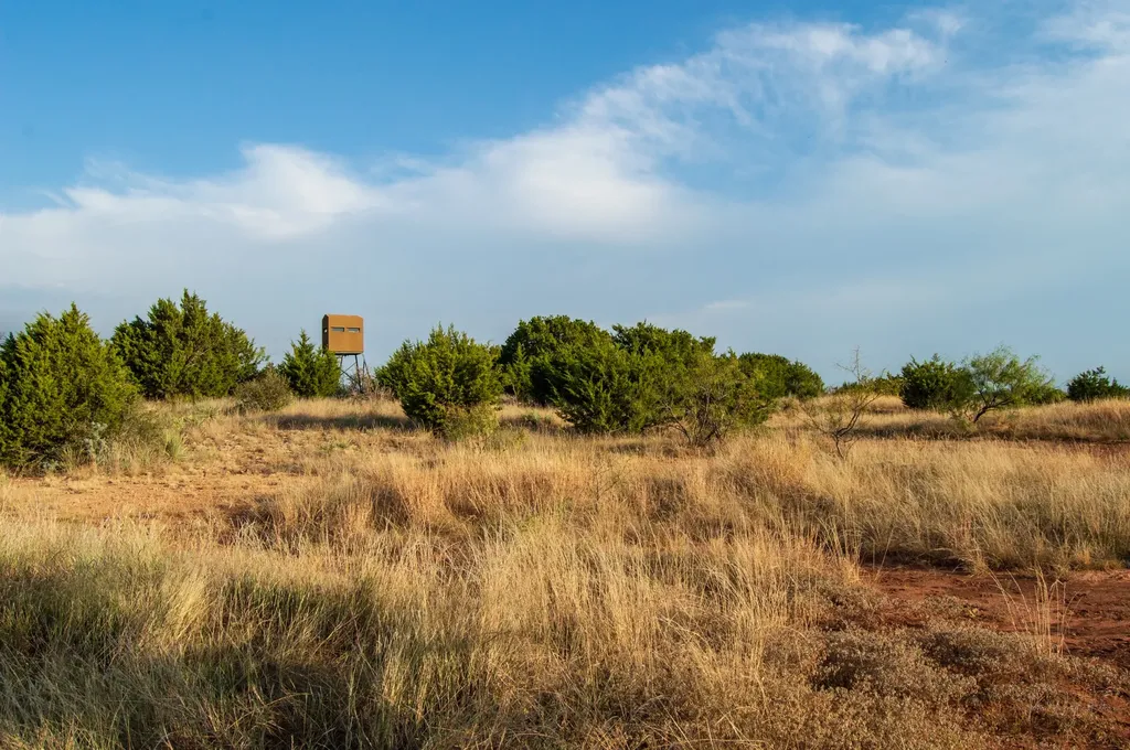7107 County Road 170 Bangs TX 76823
