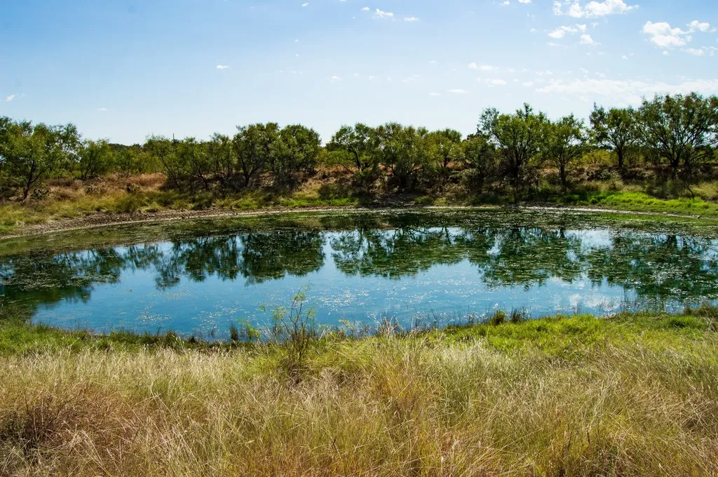7107 County Road 170 Bangs TX 76823
