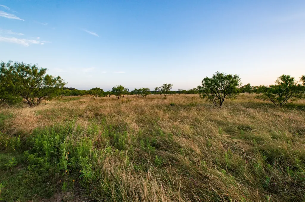 7107 County Road 170 Bangs TX 76823