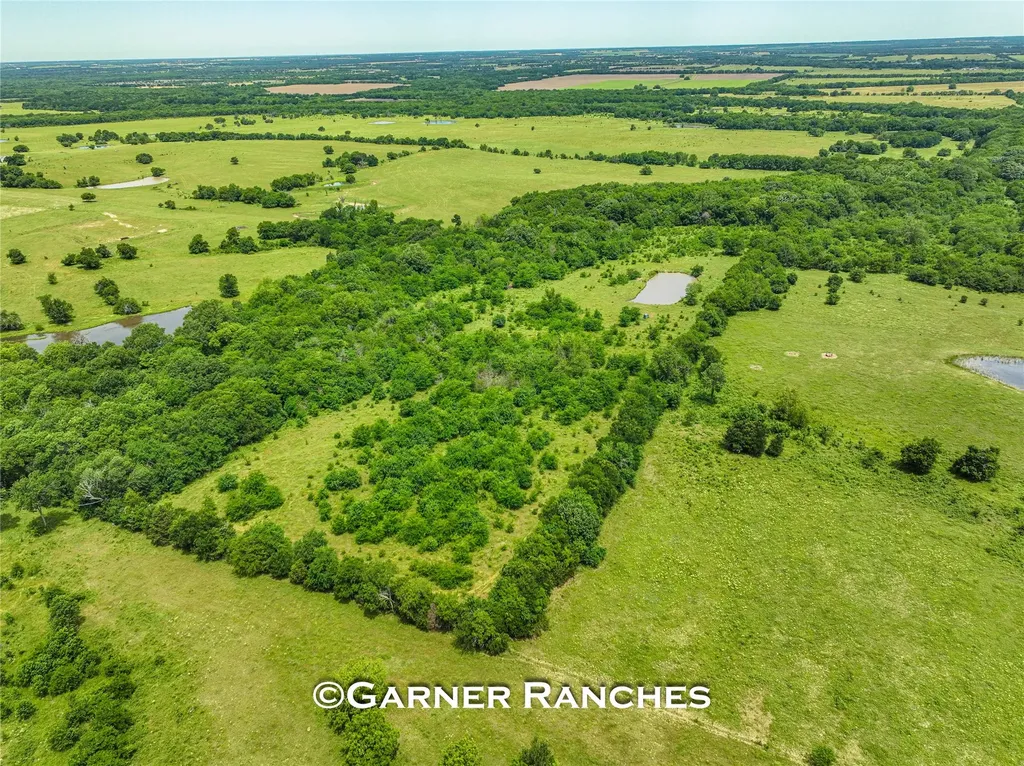 7008 Cr-1019 Celeste TX 75496