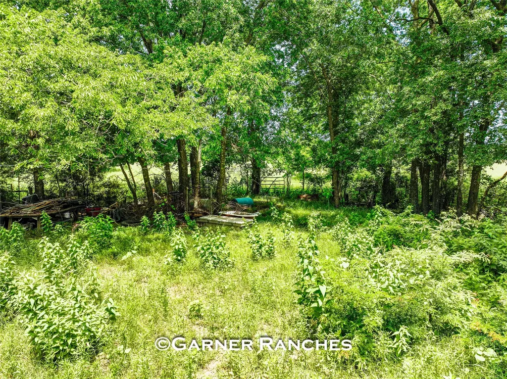 7008 Cr-1019 Celeste TX 75496