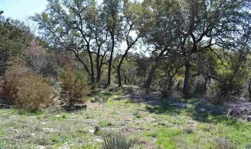 9217 Troll Hollow Belton TX 76513