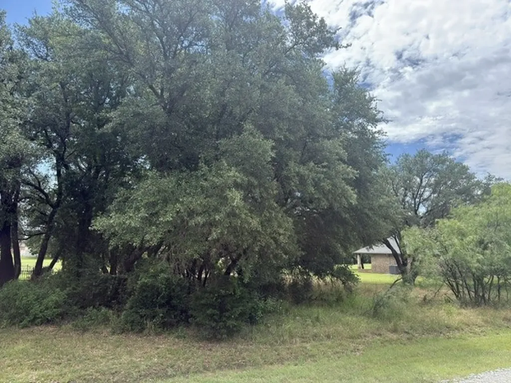 13025 Eagles Nest Drive Whitney TX 76692