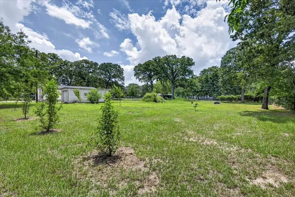 250 E Golden Oaks Drive Mabank TX 75156