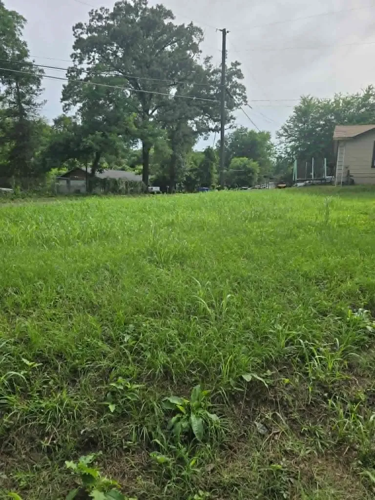800 Webb Street Daingerfield TX 75638