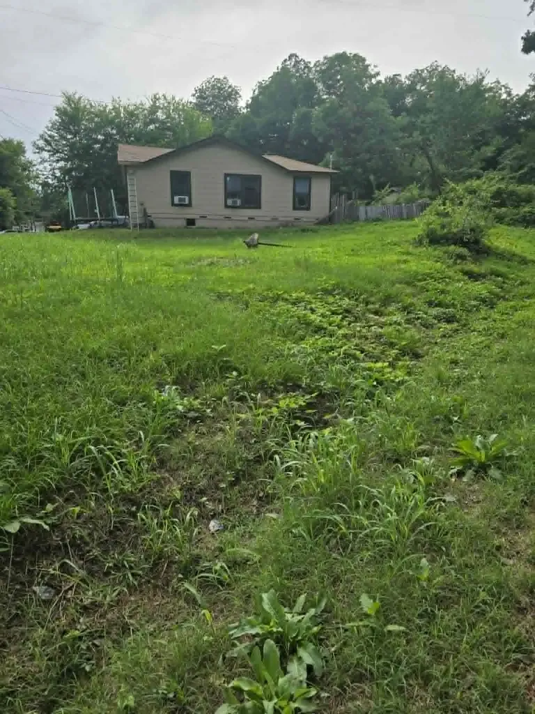 800 Webb Street Daingerfield TX 75638