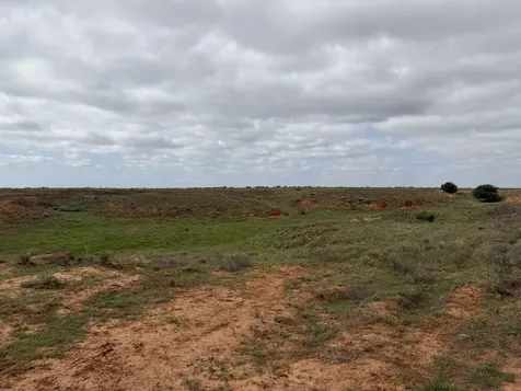 15450 Farm To Market 2103 Childress TX 79201