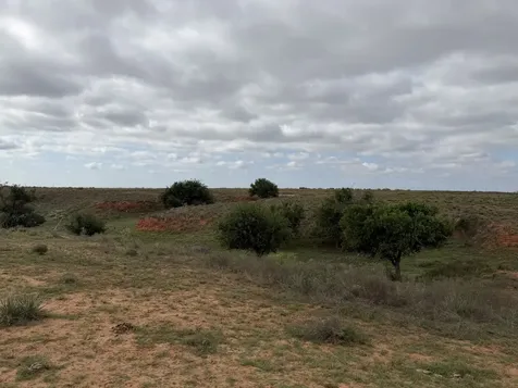 15450 Farm To Market 2103 Childress TX 79201