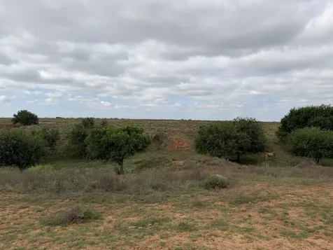 15450 Farm To Market 2103 Childress TX 79201