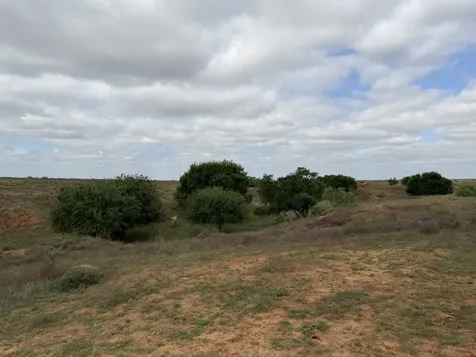 15450 Farm To Market 2103 Childress TX 79201