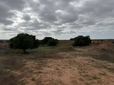 15450 Farm To Market 2103 Childress TX 79201