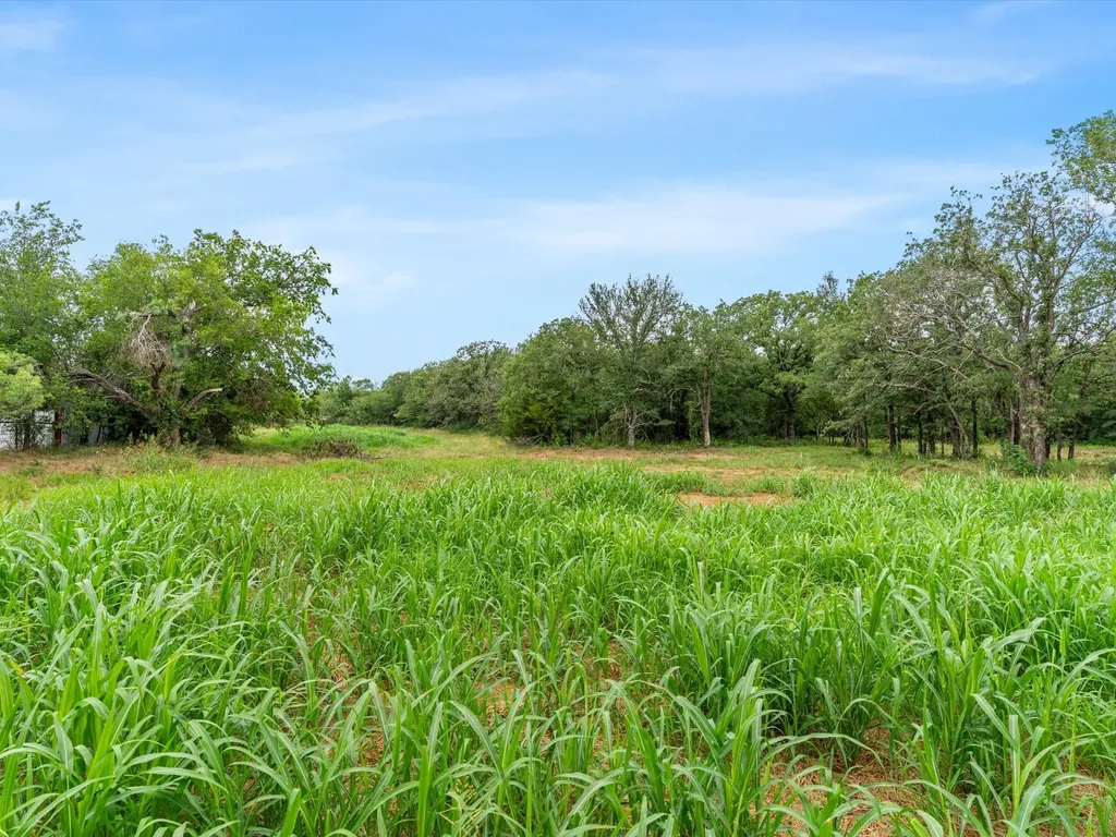 709 County Road 3355 Paradise TX 76023