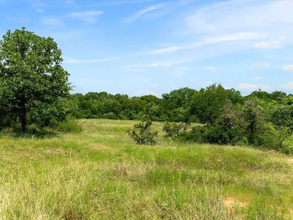115 Pecan Grove Drive Boyd TX 76023