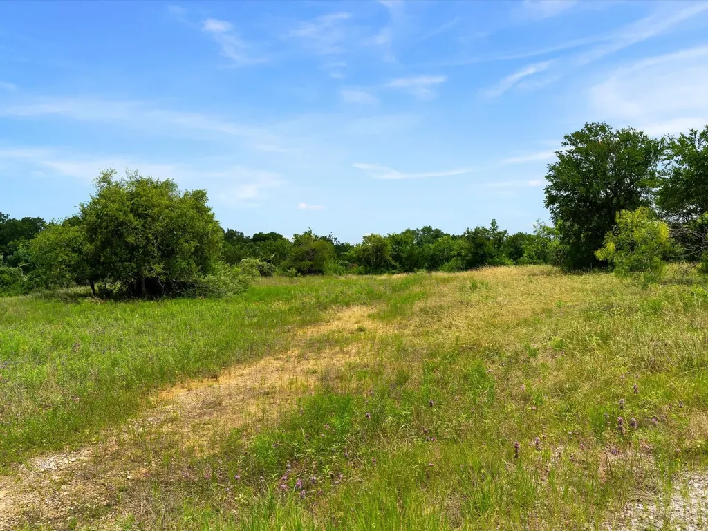 115 Pecan Grove Drive Boyd TX 76023