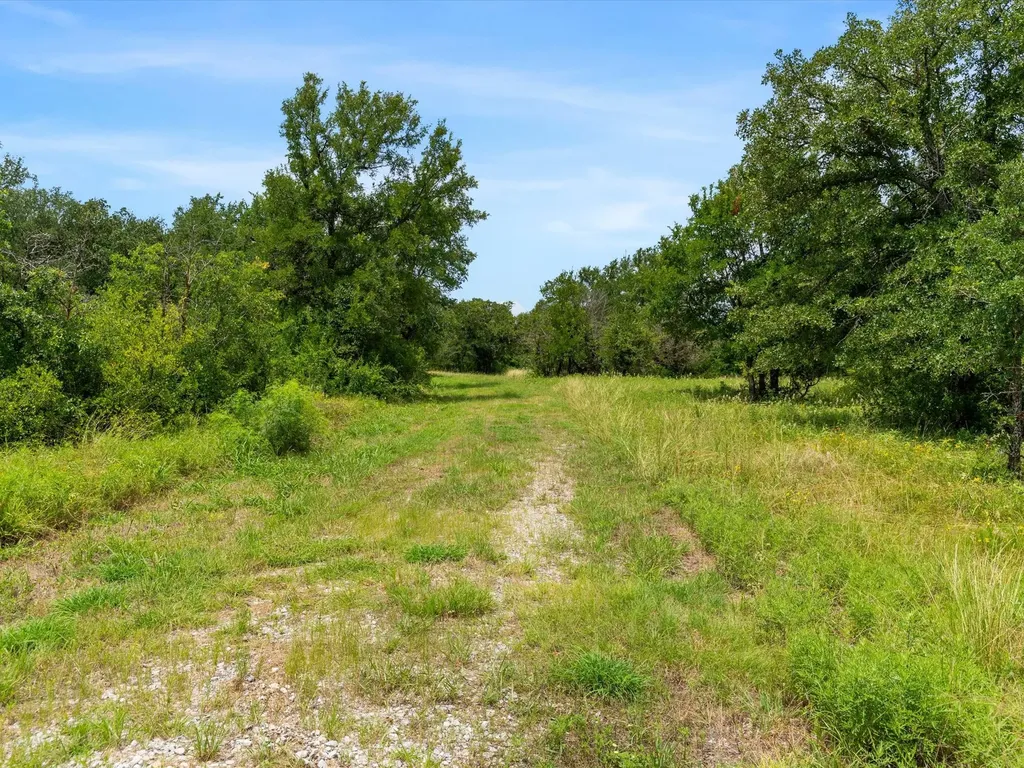 115 Pecan Grove Drive Boyd TX 76023