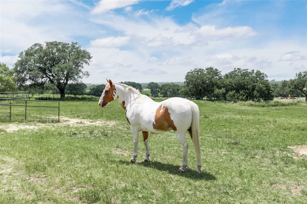 3718 Highway 36 W Rising Star TX 76471